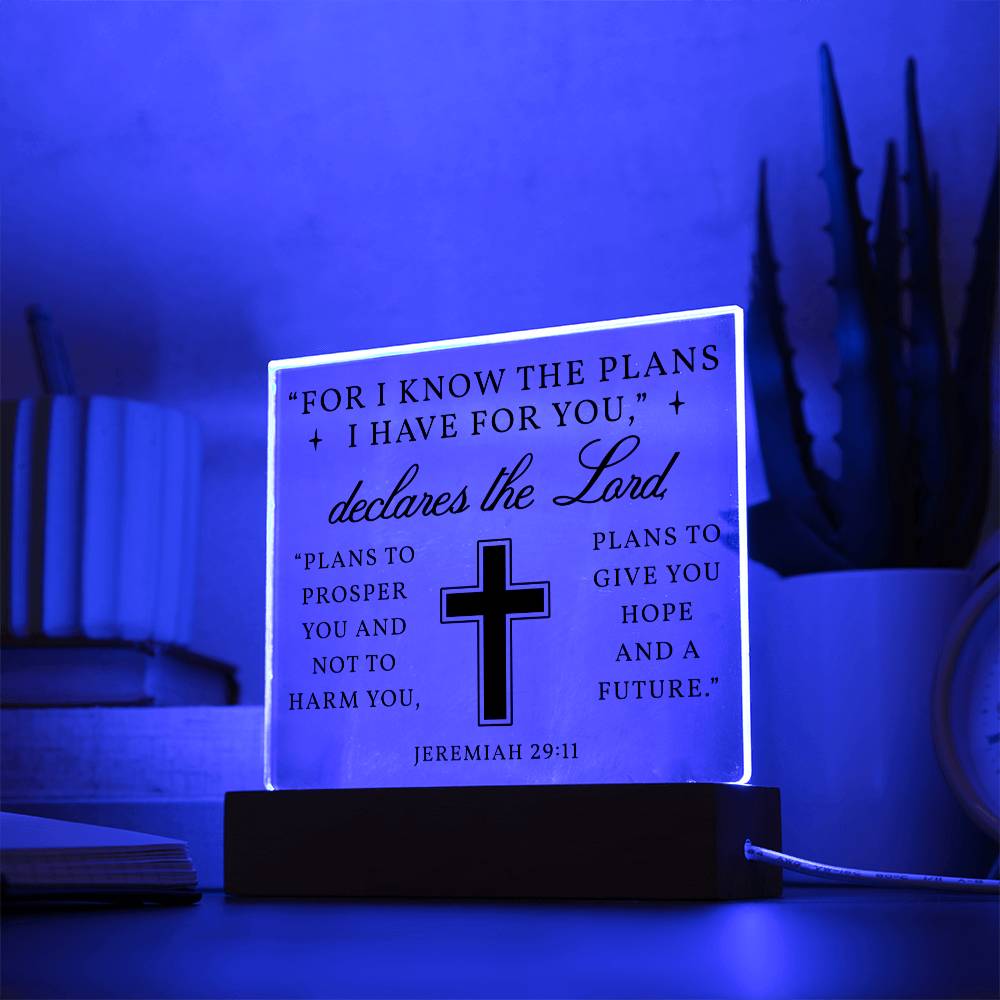 Hope and Future - Jeremiah 29:11 Acrylic Square Plaque Nightlight