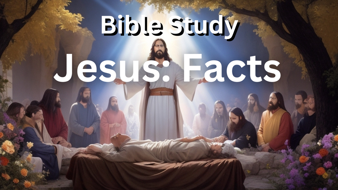Jesus: Facts, Teachings, Miracles, Death, & Doctrines